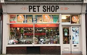 Os melhores pet shop´s no bairro Dona Clara BH